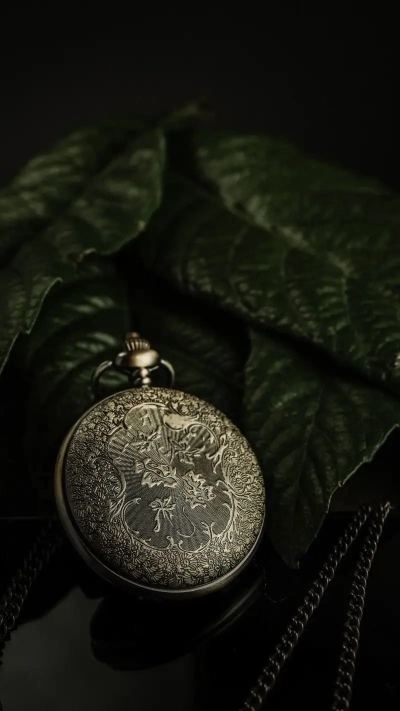 Engraved antique silver pocket watch case resting on dark green leaves