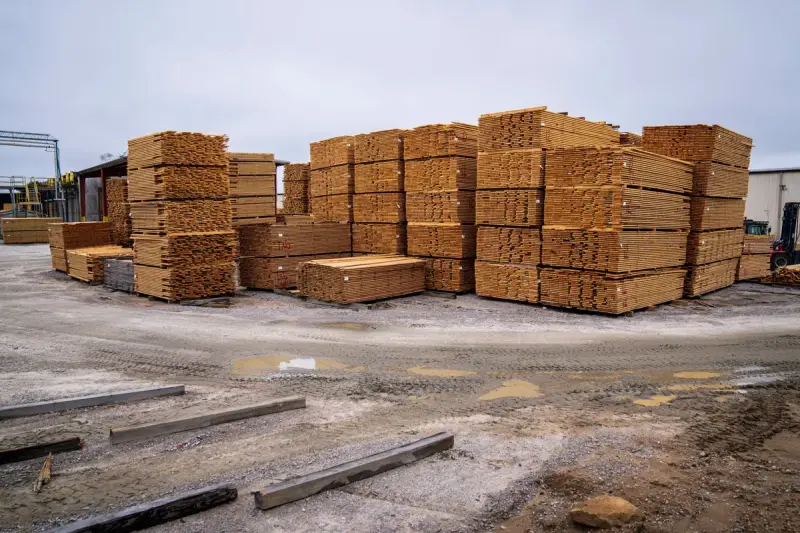 Rows of lumber bundles on a gravel yard beside a storage shed
