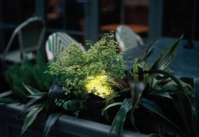 Garden lamp glowing over potted plants in a flowerbed in the evening