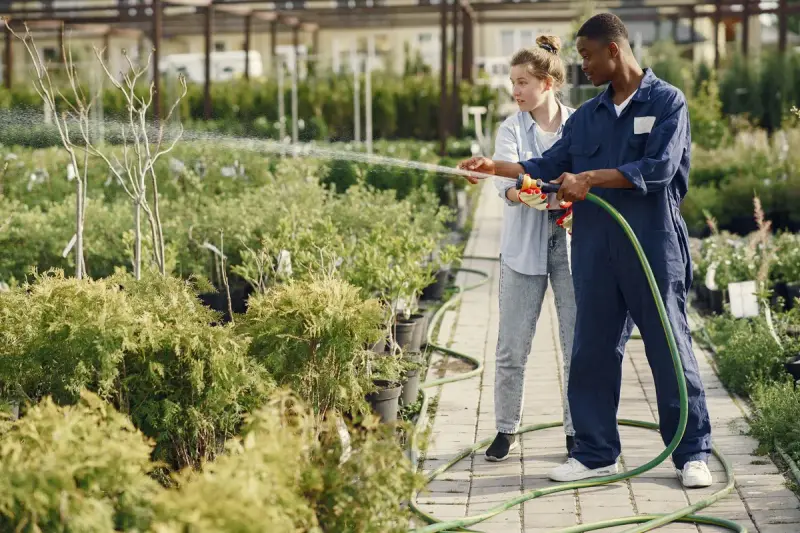 Two nursery workers watering rows of shrubs and young trees with a hose