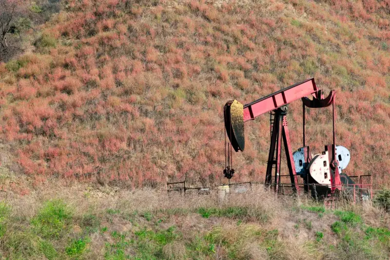Red pumpjack on a grassy hillside in late-season color