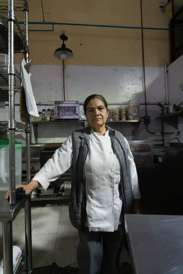 Woman chef standing in a professional restaurant kitchen