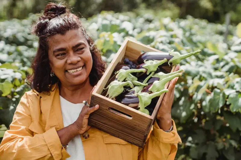 Smiling farmer in a yellow jacket carrying a wooden crate of freshly harvested eggplants