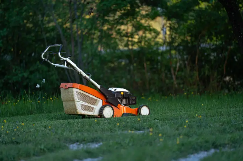 Orange walk-behind lawn mower parked on a green backyard lawn