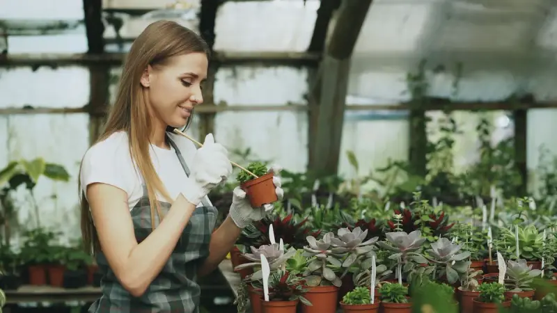 Woman in gloves and an apron tending potted plants in a greenhouse