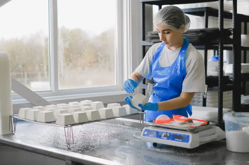 A woman processing cheese with modern equipment in a dairy factory
