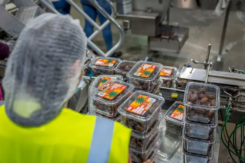 Worker in protective clothing overseeing a date packaging line in an industrial facility