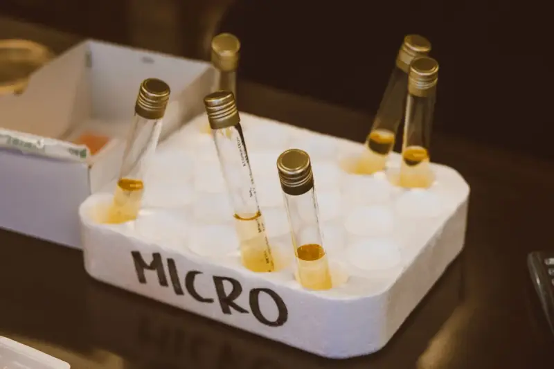 Capped glass culture tubes with amber broth in a white rack labeled MICRO