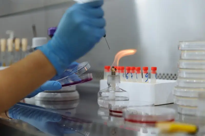 Gloved hand inoculating a petri dish beside a burner flame and rows of capped tubes