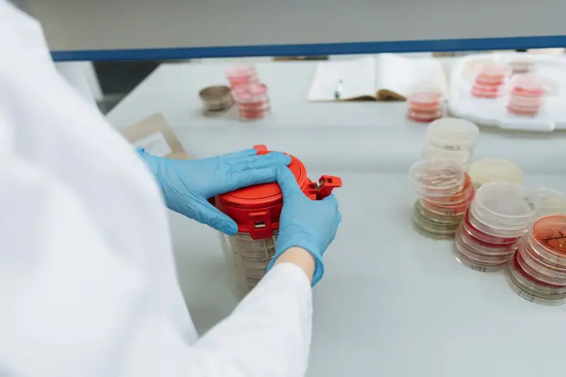 Lab worker in gloves opening a media jar next to stacks of prepared agar plates
