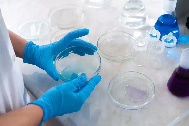 Gloved hands holding a petri dish over a bench of glassware and colored solutions