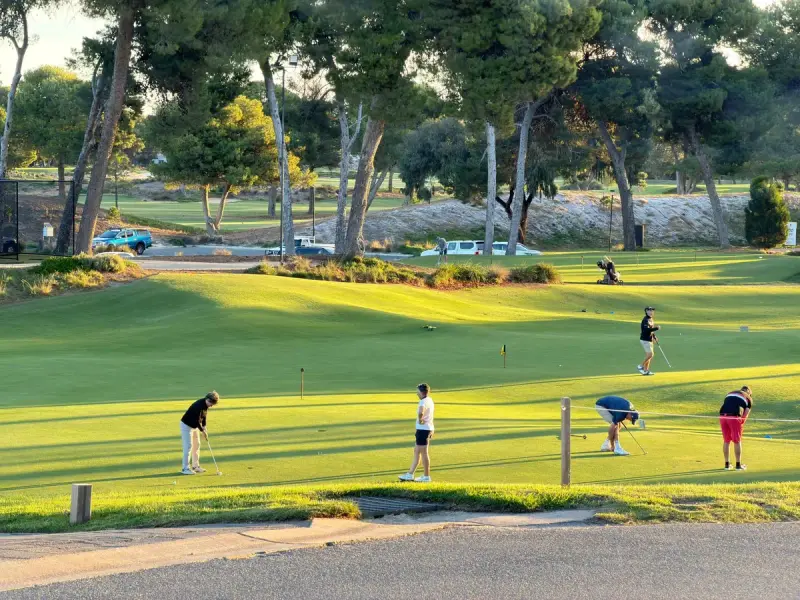 Golfers practicing chipping and putting on a sunlit practice green framed by trees