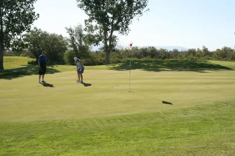 Two golfers putting toward a flag on a wide green under a clear sky