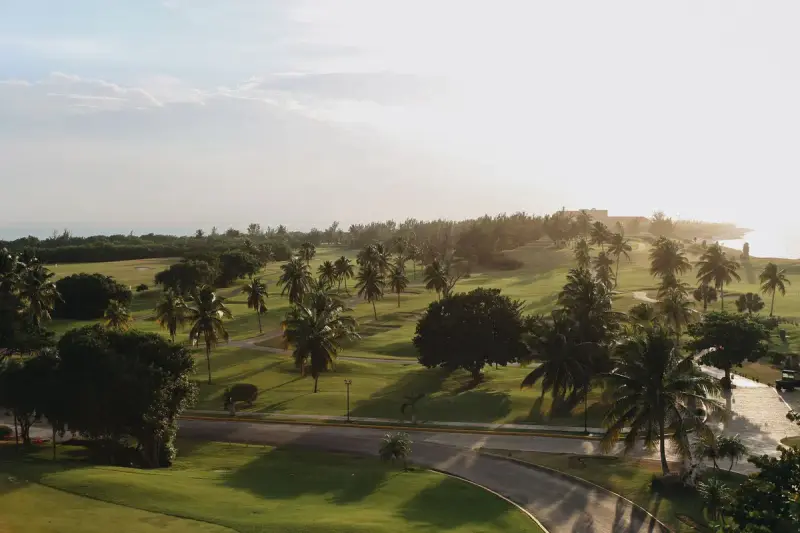 Aerial view of a palm-lined golf course at sunrise near the coast