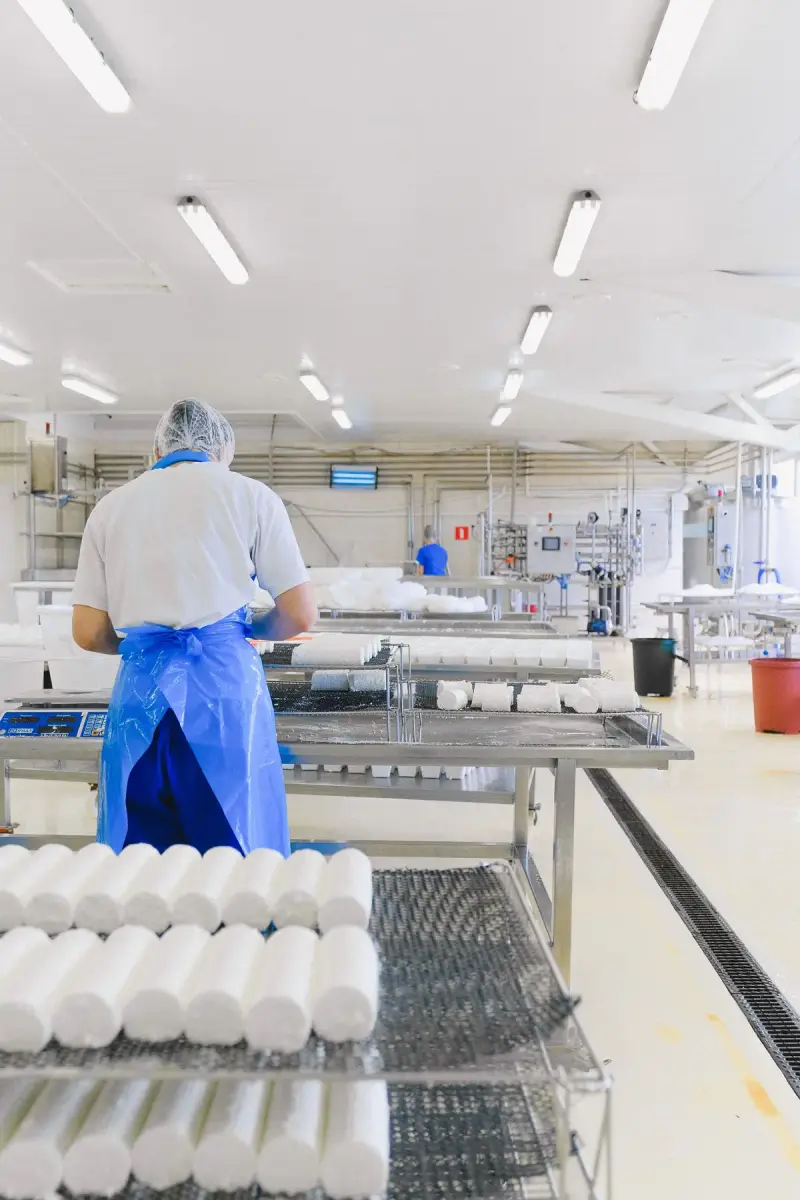 Woman in protective clothing checking cheese during production in a dairy plant