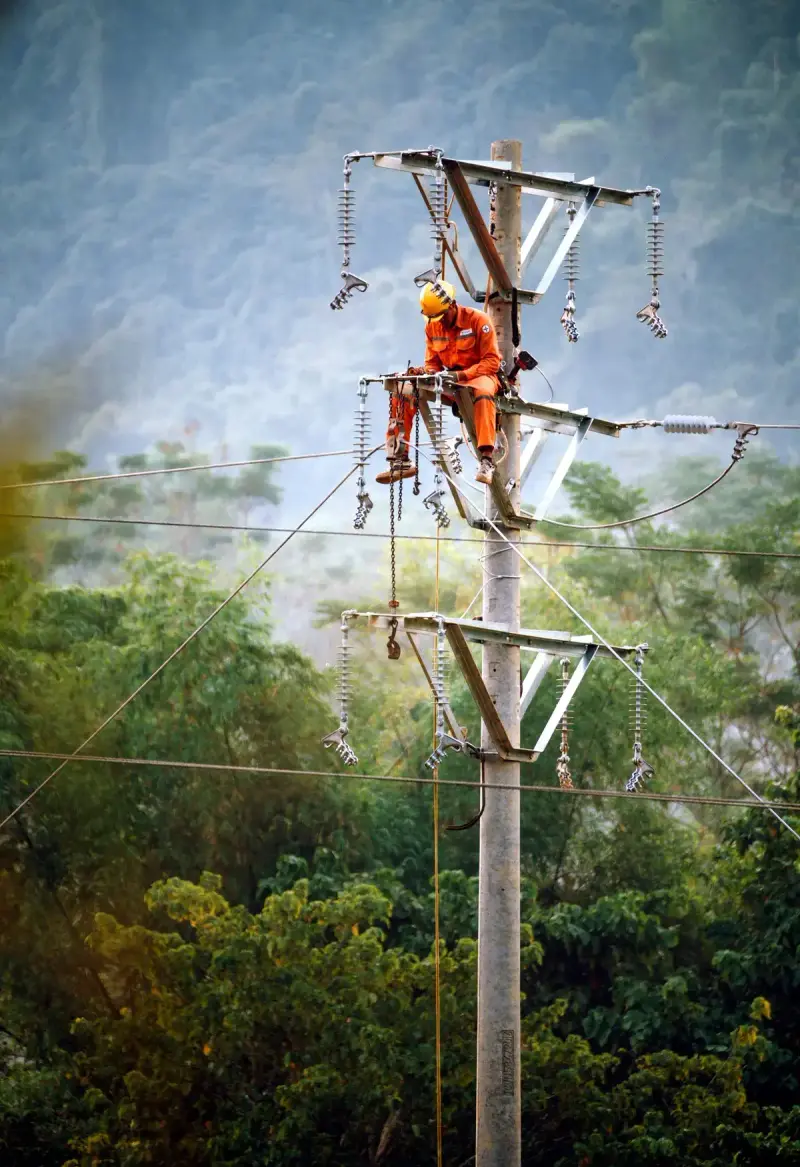 Line worker in orange gear working at height on a power pole above green trees