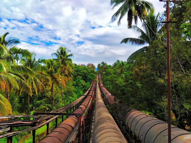 Long rusty pipelines running through tropical jungle with palm trees