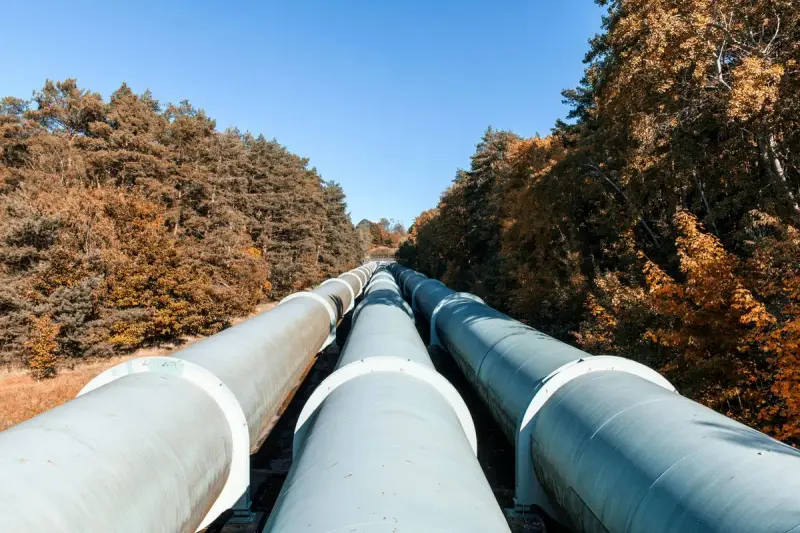 Insulated pipelines stretching through autumn woodland under a blue sky