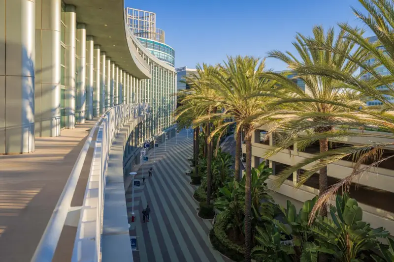 Modern building facade framed by tall palm trees under a sunny sky in Anaheim
