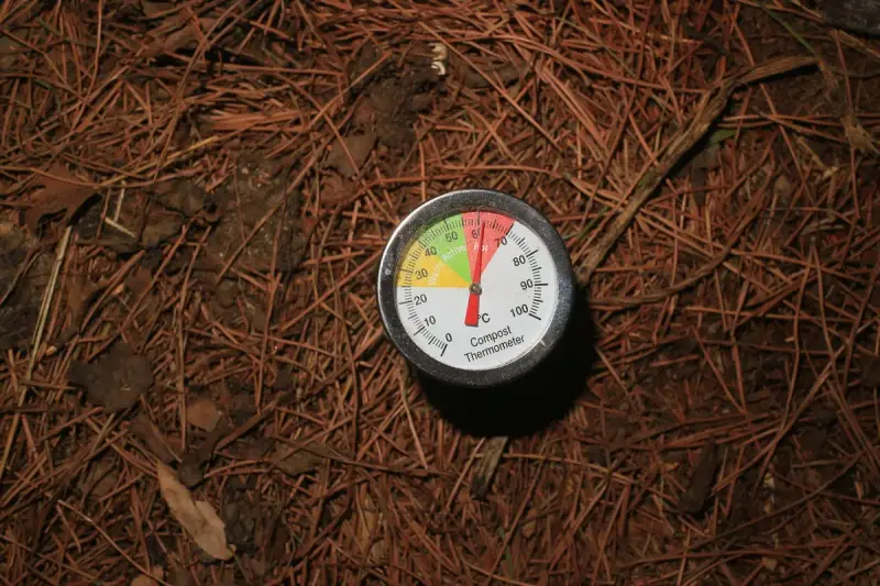 Compost thermometer dial pushed into a dark pile of organic material