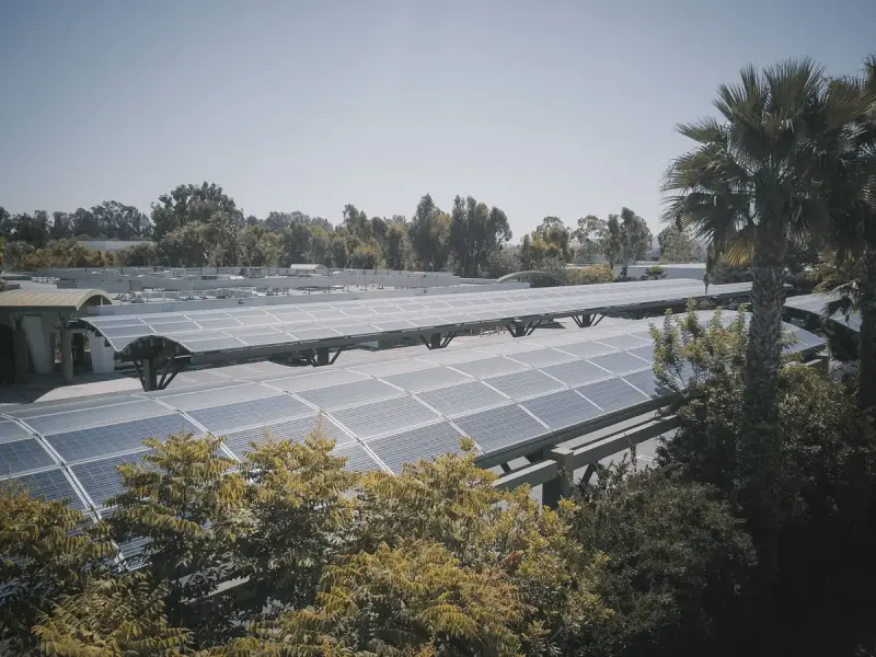 Solar panel array set among green trees under a clear blue sky