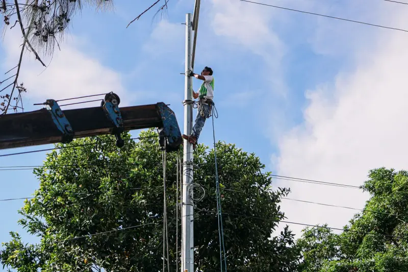 Utility worker climbing a pole above green tropical trees for line maintenance