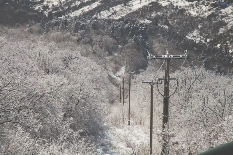 Power lines running through a snow-covered winter forest