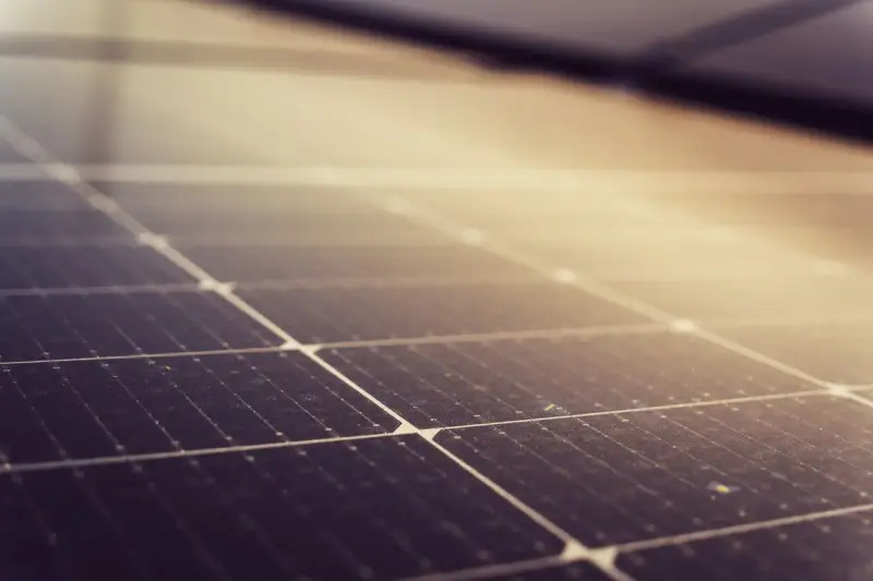 Black solar panels catching sunlight in close view