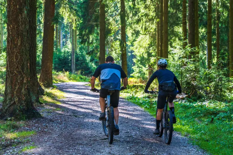 Two mountain bikers riding a gravel forest road between tall pines