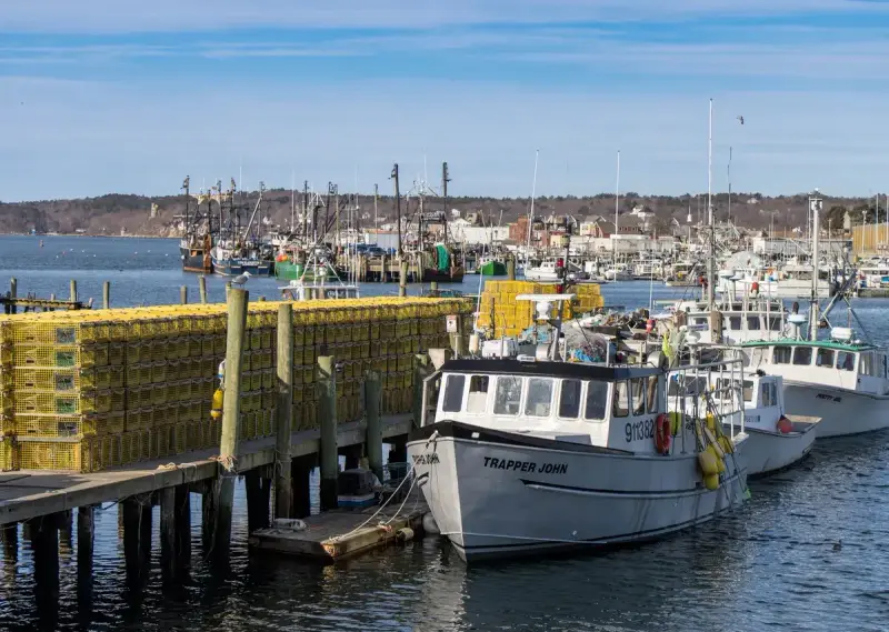 Commercial fishing boats moored beside a pier stacked with yellow lobster traps in a working harbor