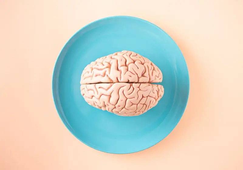 Pink anatomical model of a human brain on a blue plate against a peach background