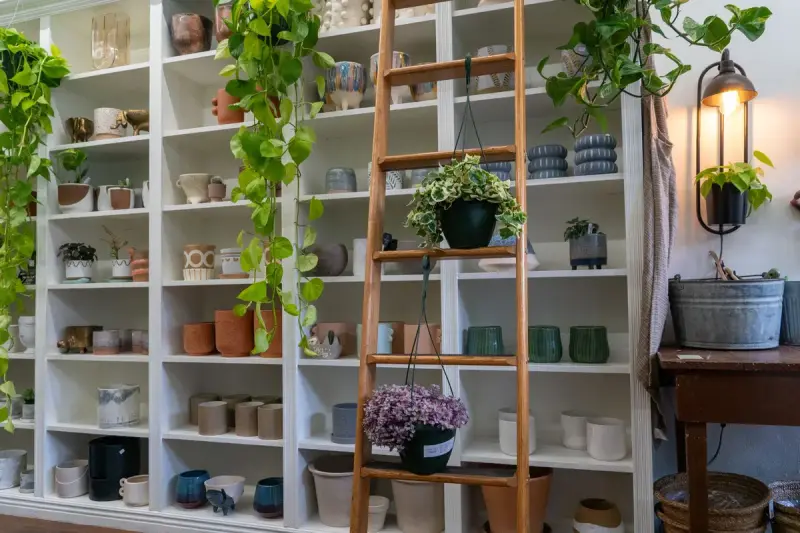 Pottery shop interior with shelves of handmade ceramics and green indoor plants