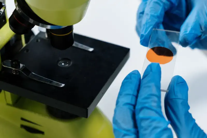 Gloved hands placing a stained glass slide onto a microscope stage