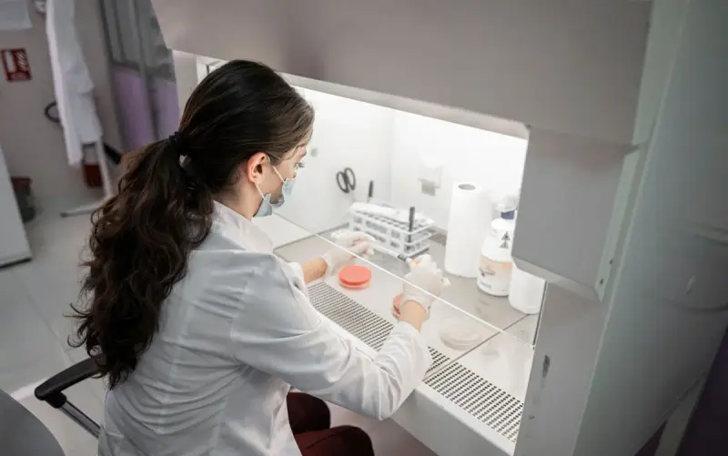 Female scientist working with culture dishes inside a biosafety cabinet in a modern lab