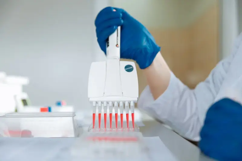 Gloved hand using a multichannel pipette over a sample plate