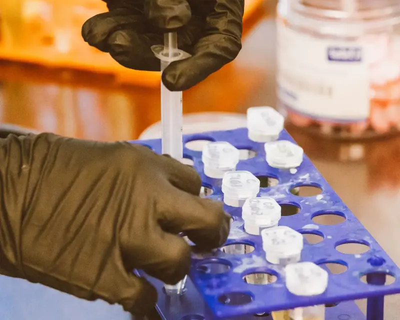 Gloved hands dispensing liquid into a microplate on a lab bench