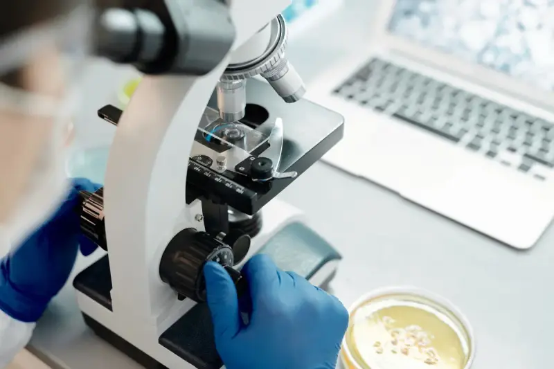Researcher in safety glasses analyzing biological samples under a microscope