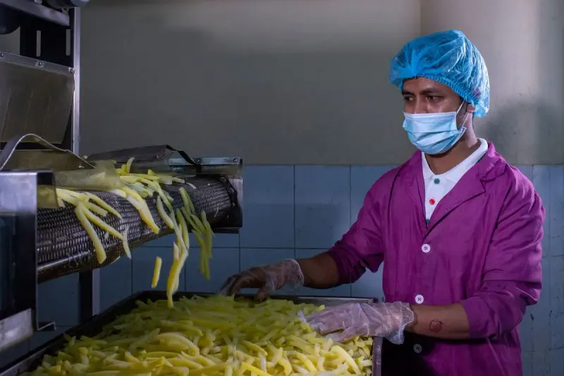 Worker in hairnet, mask and gloves checking cut potato strips as they leave a conveyor