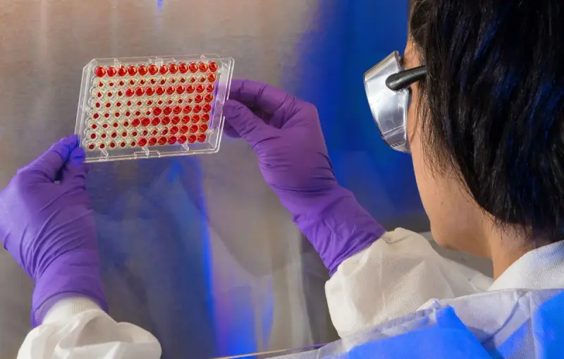 Gloved scientist holding up a 96-well assay plate filled with red samples