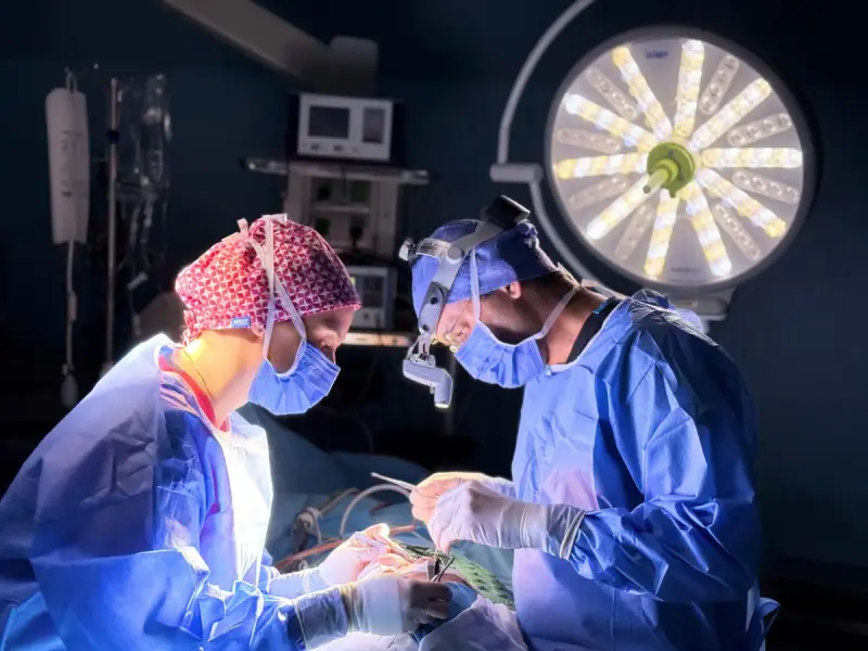 Two surgeons in blue gowns and loupes operating under a large surgical light