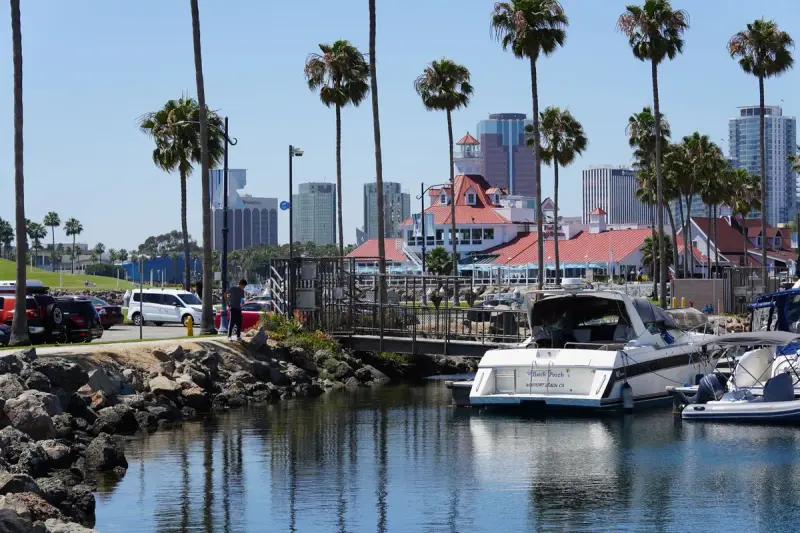 Long Beach marina with moored boats, palm trees and downtown towers