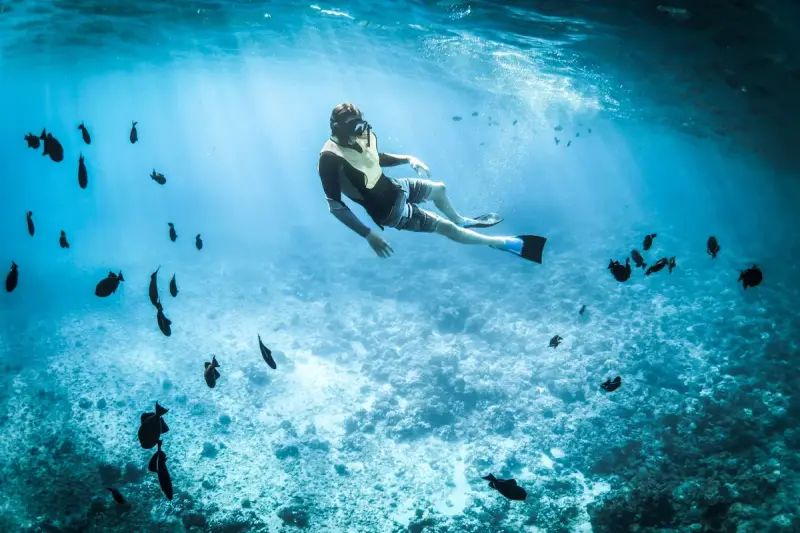 Snorkeler gliding over a sandy reef among dark tropical fish