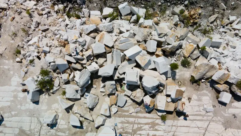 Quarry wall of pale stone blocks with plants growing in the cracks