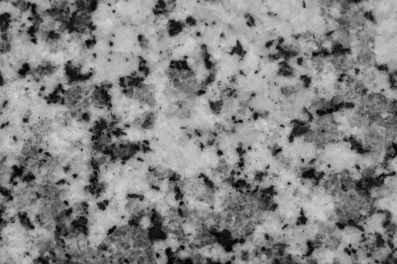 Close-up of speckled black and white granite