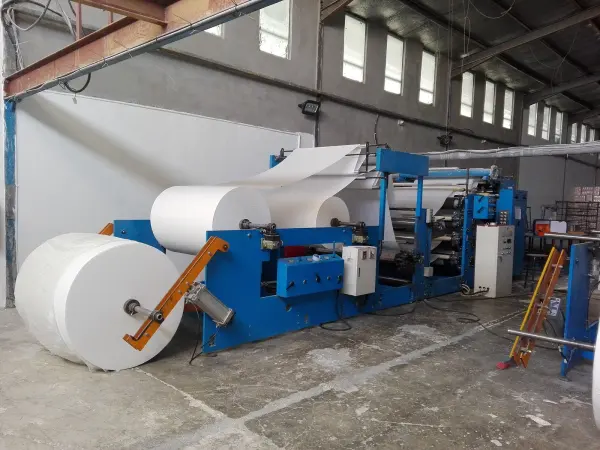 Jumbo paper rolls feed a tissue-converting machine in a factory, photographed in 2017. Paper-