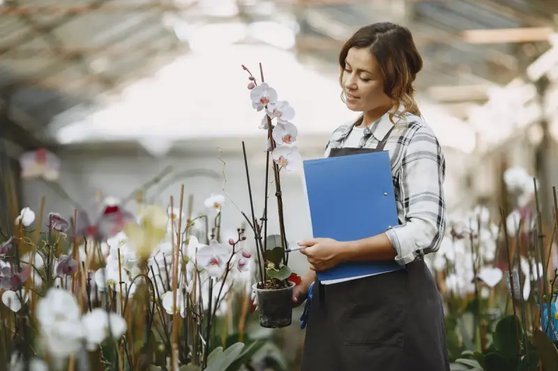 Woman in an apron holding a potted white orchid and a blue folder in a greenhouse