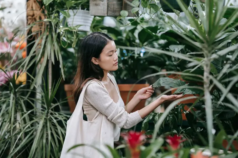 Woman browsing tall indoor plants and palms in a greenhouse plant shop