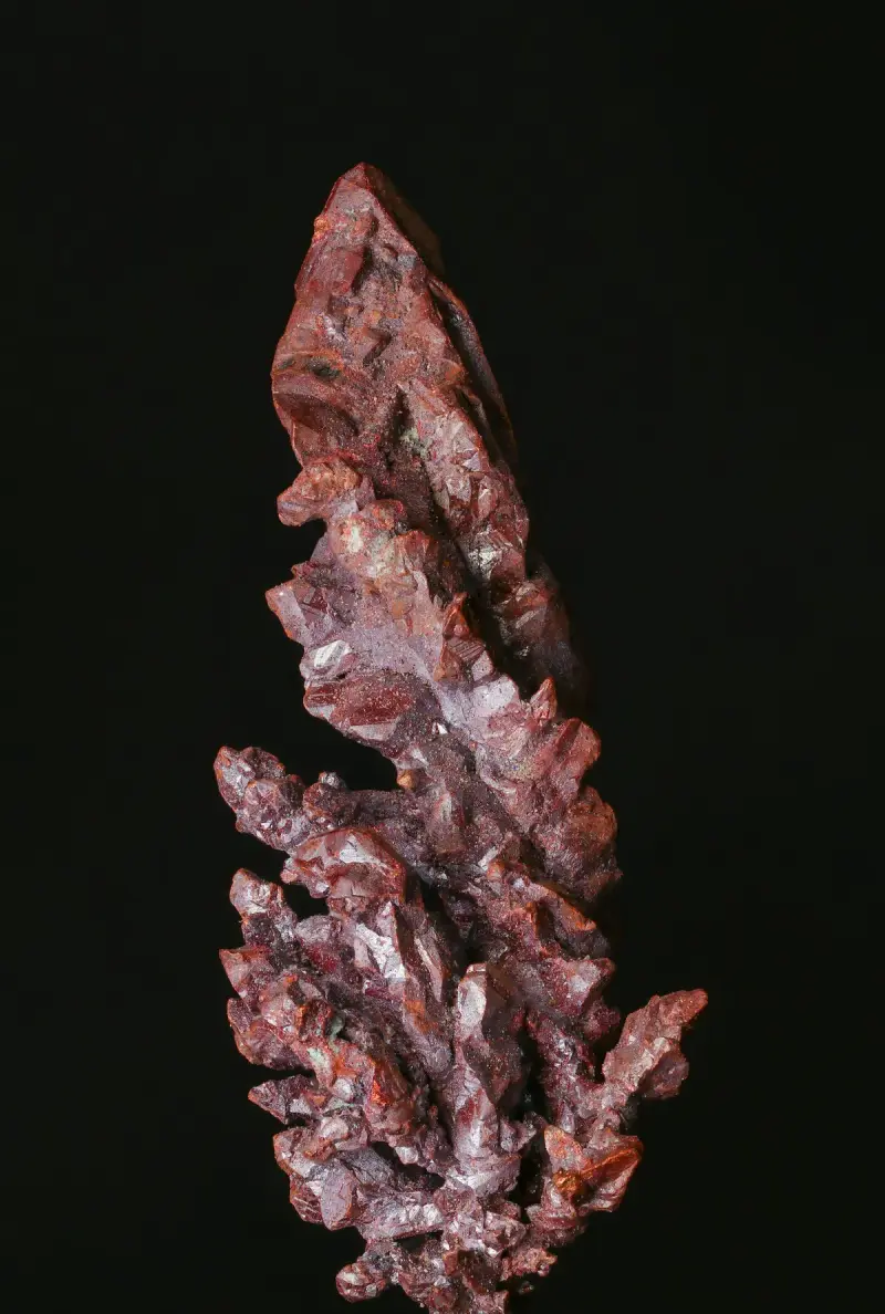 Jagged red crystal mineral specimen standing against a black background
