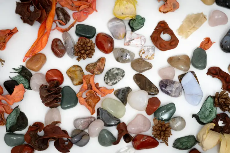 Polished stones, pine cones and dried leaves scattered across a white surface