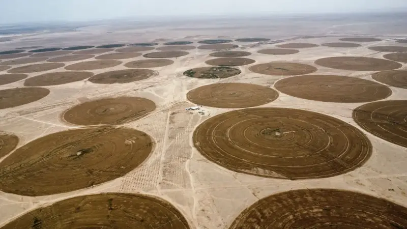 Dozens of circular irrigated fields spread across a dry desert plain